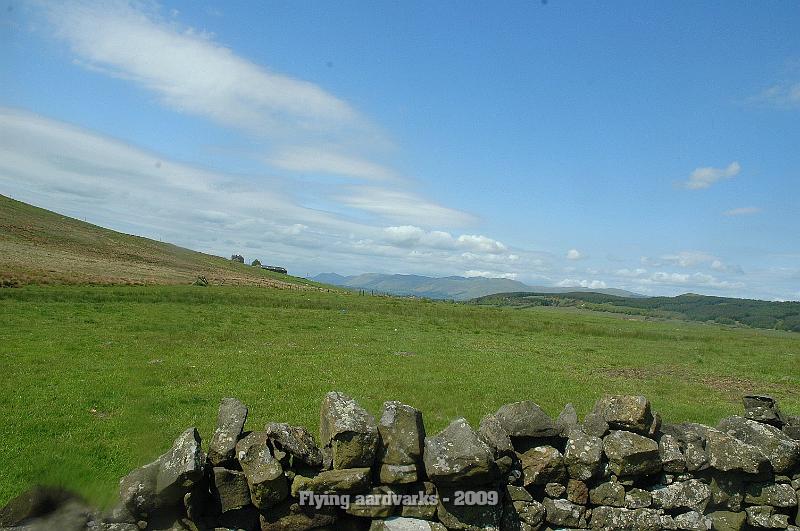 DSC_9325.JPG