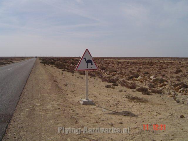 dakar2007151.jpg