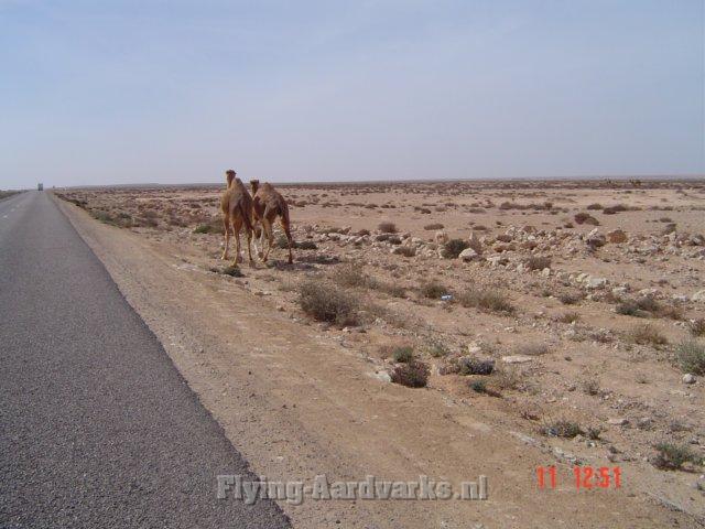 dakar2007153.jpg